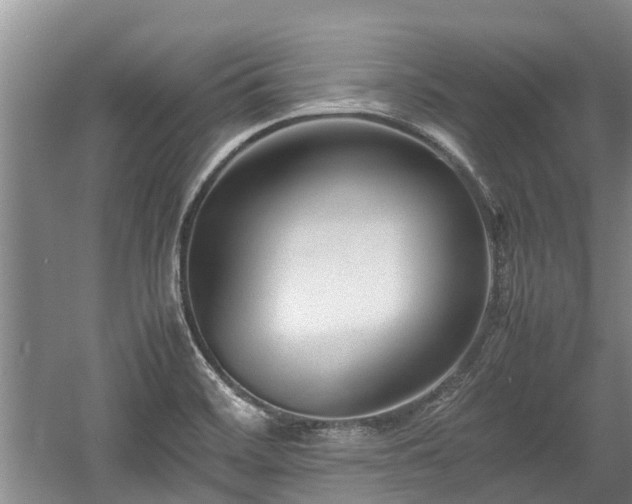 X0000057561468200509191409