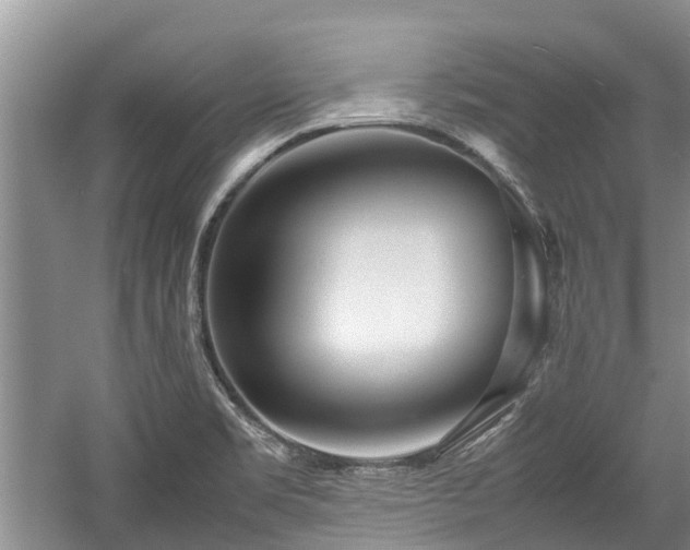 X0000057561469200509191409
