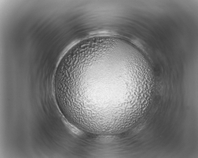 X0000057561474200509191409