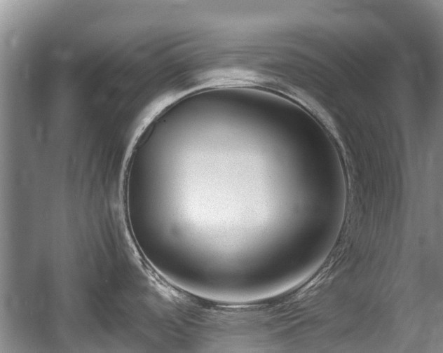 X0000057561488200509191408