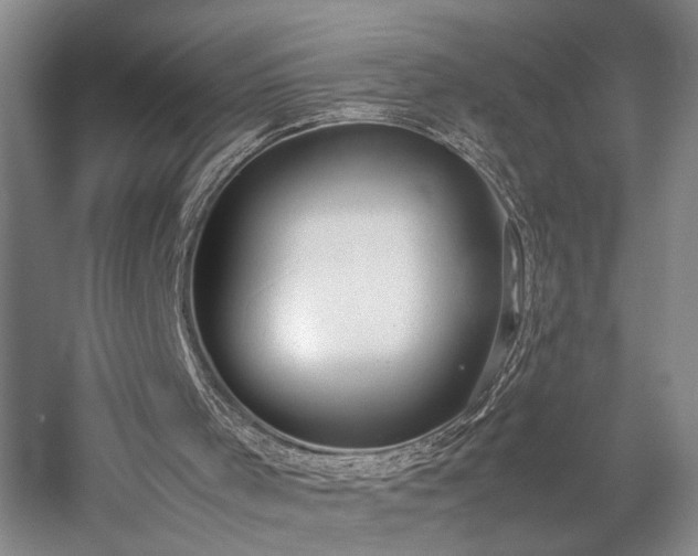 X0000057560001200509231211