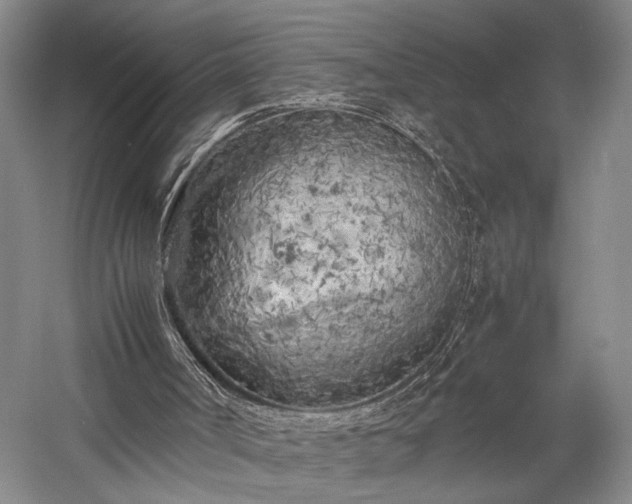 X0000057560002200509231211