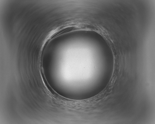 X0000057560003200509231211