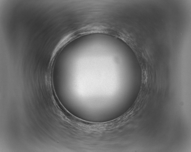 X0000057560004200509231211