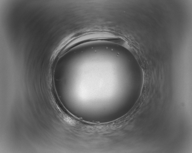 X0000057560005200509231211