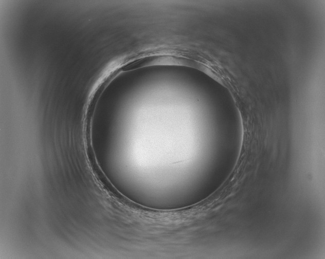 X0000057560006200509231211