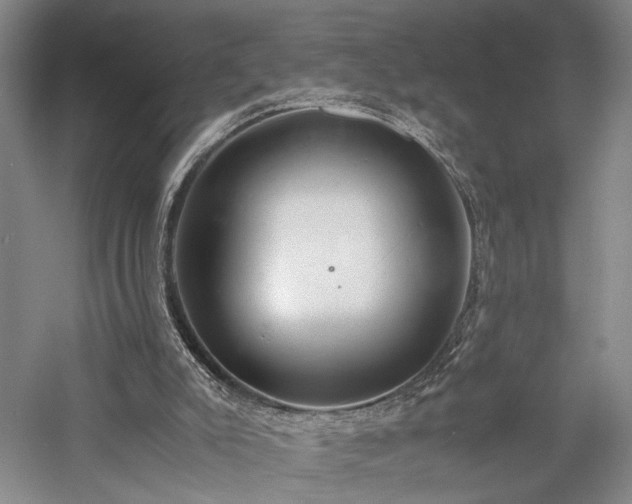 X0000057560007200509231211