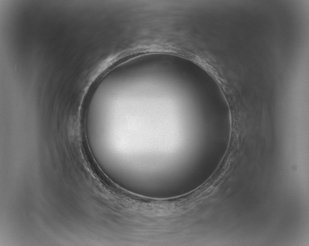 X0000057560008200509231211