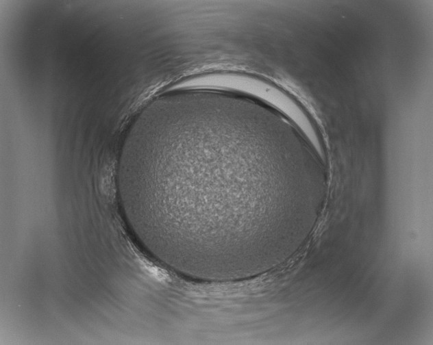 X0000057560009200509231211