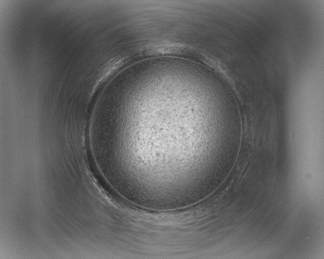 X0000057560010200509231211