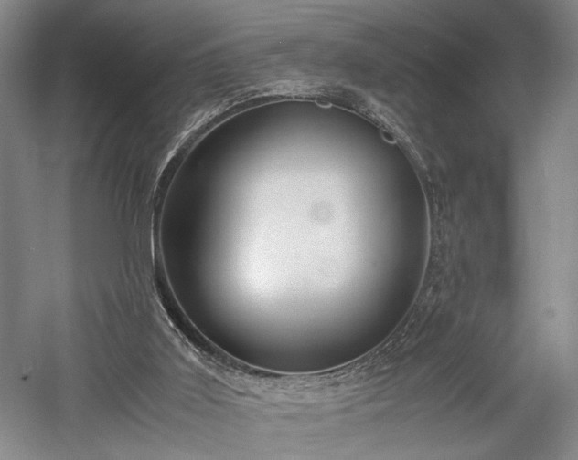 X0000057560011200509231211