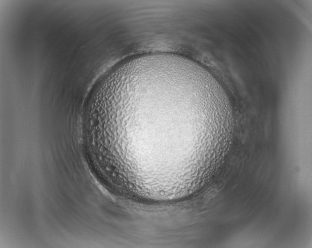 X0000057560012200509231211