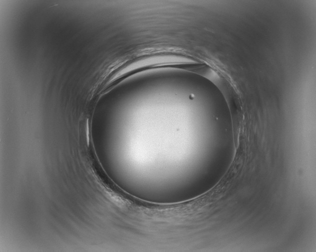 X0000057560013200509231211