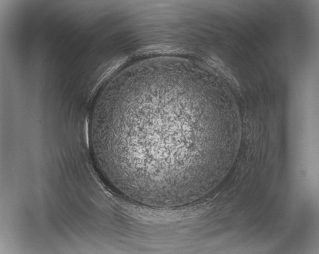 X0000057560014200509231211