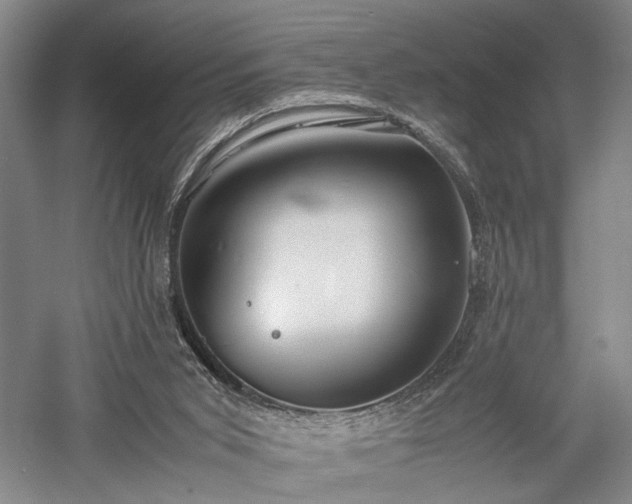 X0000057560015200509231211