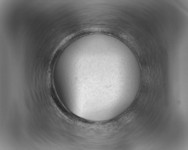 X0000057560016200509231211