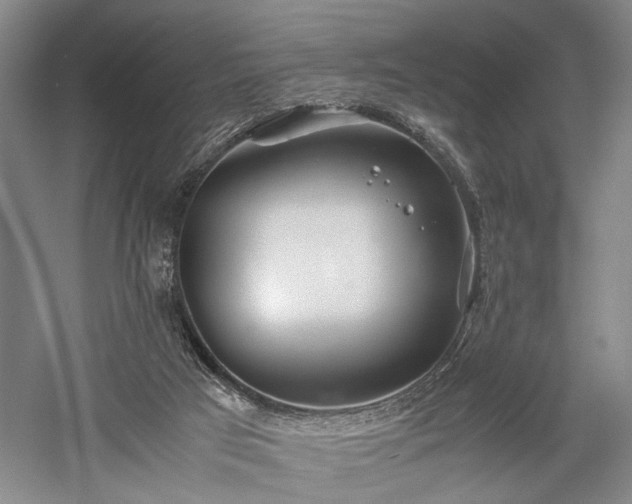 X0000057560017200509231211