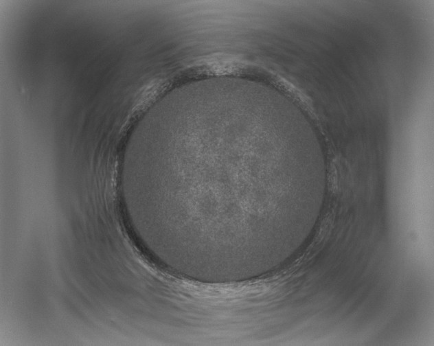 X0000057560018200509231211