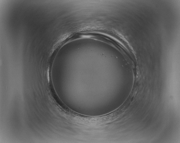 X0000057560019200509231211