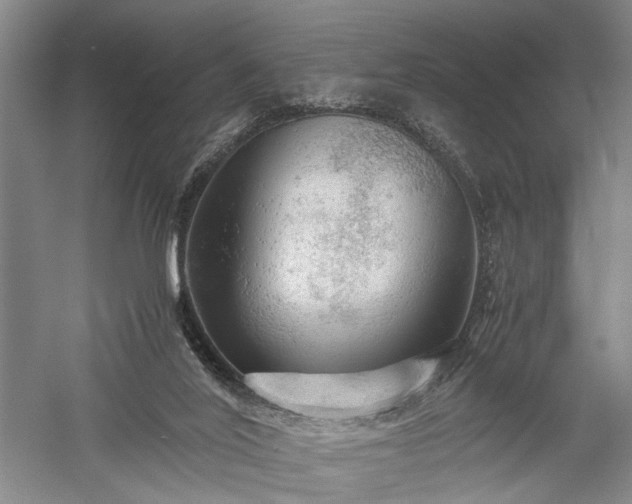 X0000057560020200509231211