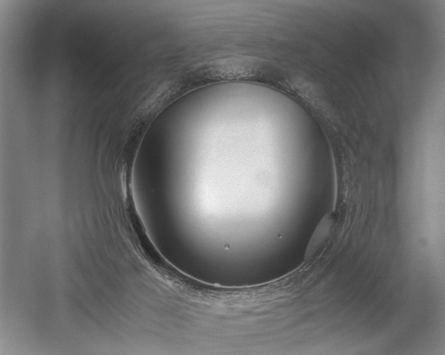 X0000057560021200509231211