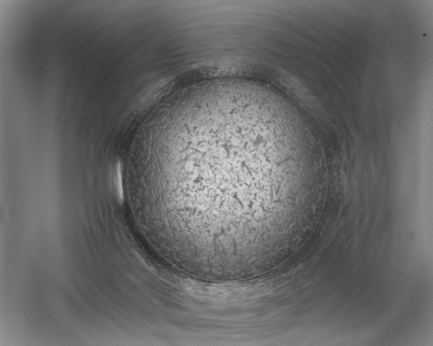 X0000057560022200509231211