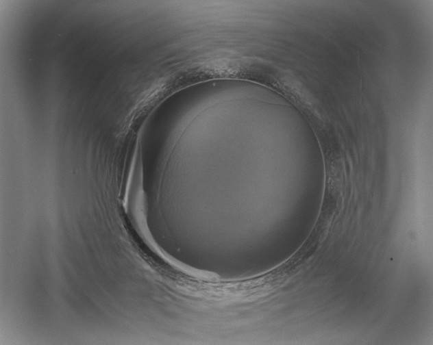 X0000057560023200509231211