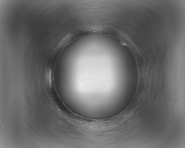 X0000057560024200509231211