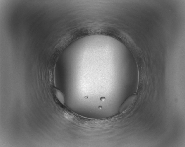 X0000057560025200509231211