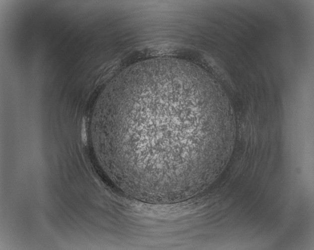 X0000057560026200509231211