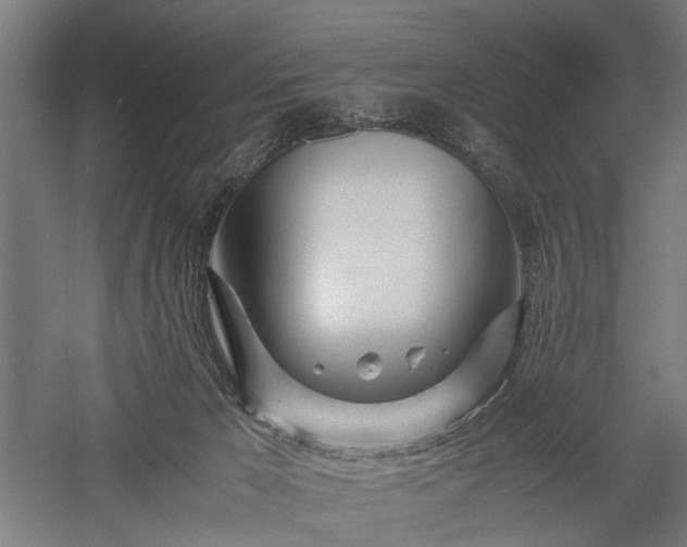 X0000057560029200509231211