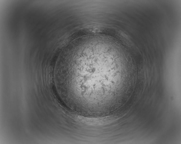 X0000057560030200509231211