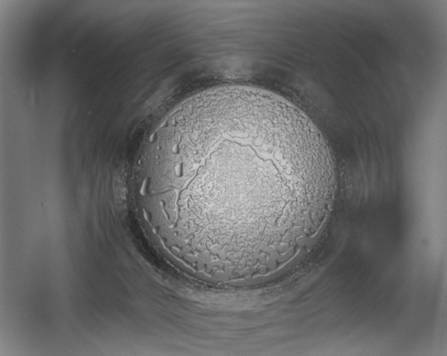 X0000057560032200509231211