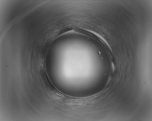 X0000057560033200509231211