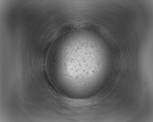 X0000057560034200509231211