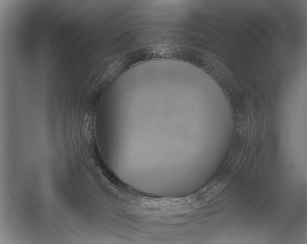 X0000057560036200509231211