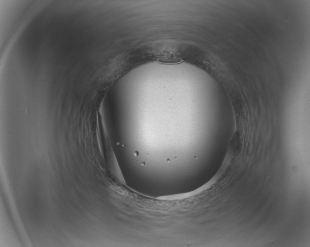 X0000057560037200509231211