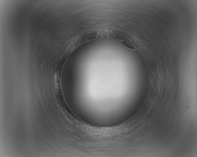 X0000057560038200509231211