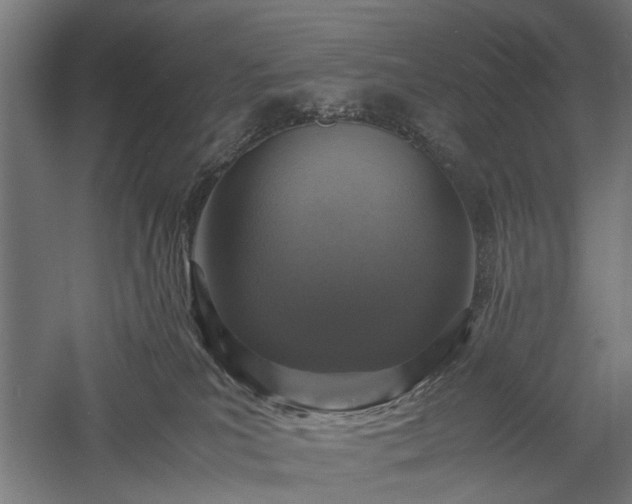 X0000057560039200509231211