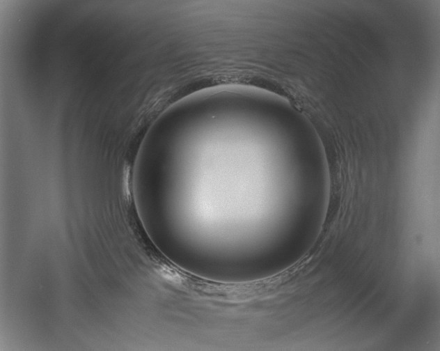 X0000057560041200509231211