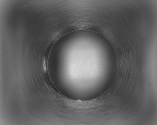 X0000057560042200509231211