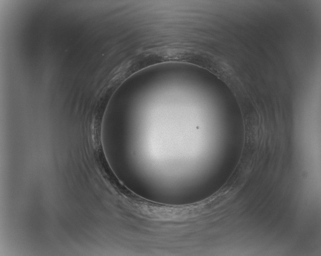 X0000057560044200509231211