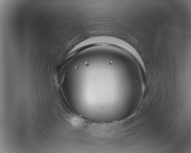 X0000057560045200509231211