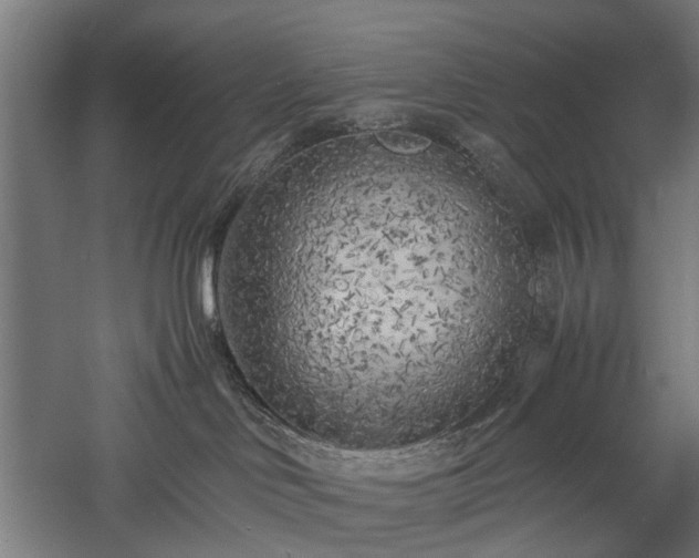 X0000057560046200509231211