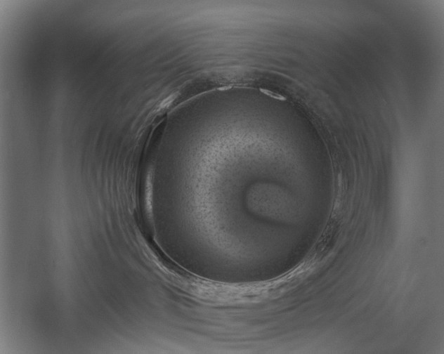 X0000057560048200509231211