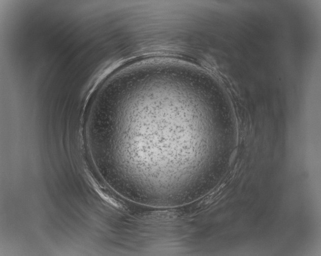 X0000057560050200509231210