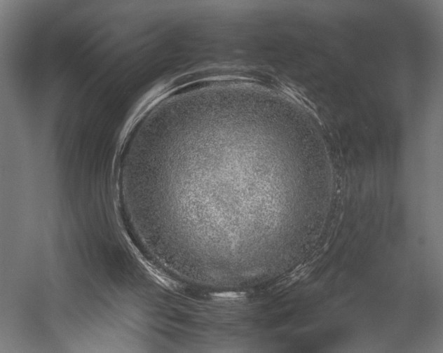 X0000057560053200509231210