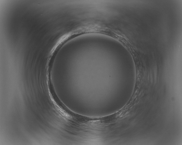 X0000057560054200509231210