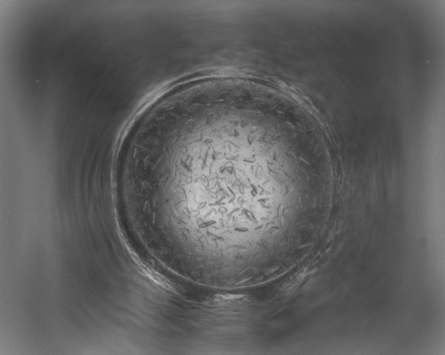 X0000057560055200509231210