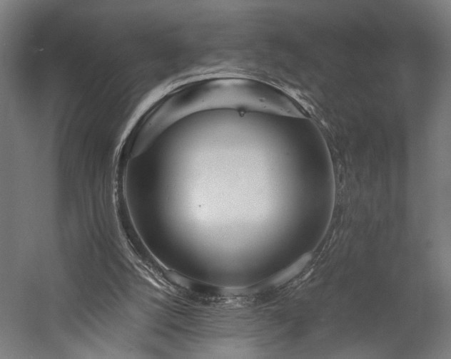 X0000057560056200509231210